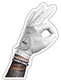 TGC Iceman